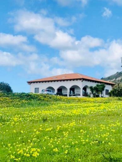 Cala Azul Residence B&B Алгеро Екстериор снимка
